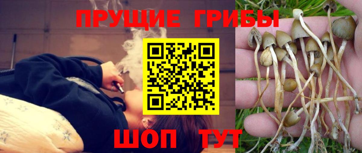 Псилоцибиновые грибы Magic Shrooms Туймазы